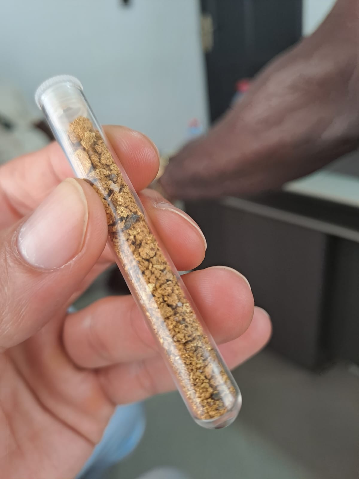 Gold dust sample in test tube — assay ready